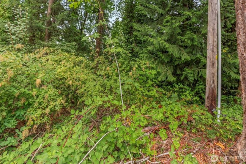 Property photo for 1234 Woodinville Duvall Road, Woodinville photo 13