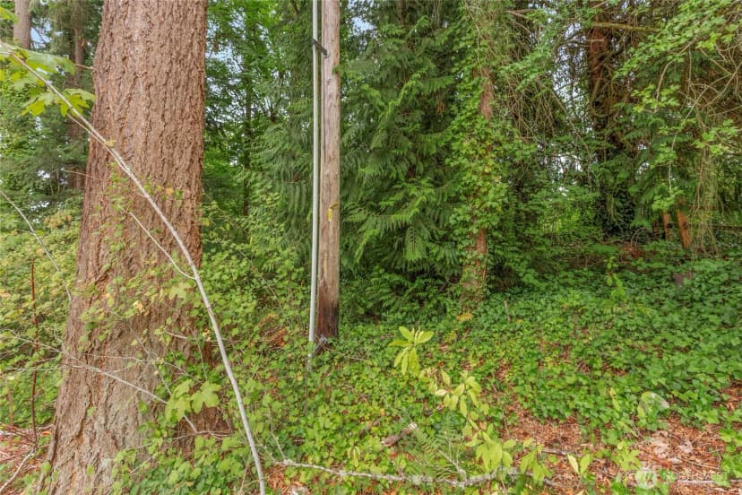 Property photo for 1234 Woodinville Duvall Road, Woodinville photo 14