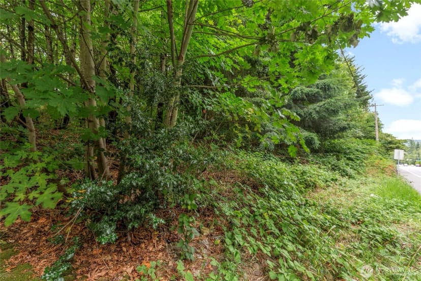 Property photo for 1234 Woodinville Duvall Road, Woodinville photo 11
