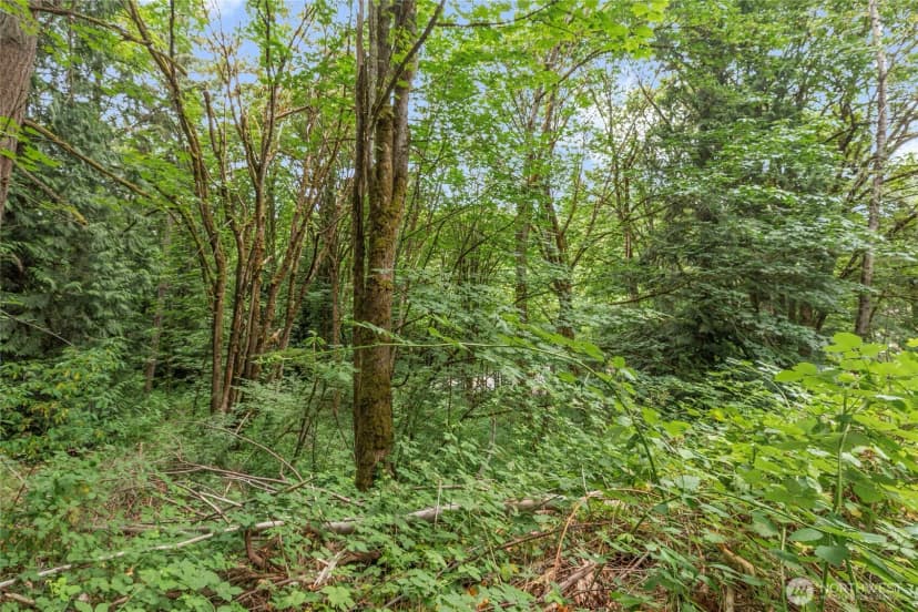Property photo for 1234 Woodinville Duvall Road, Woodinville photo 8