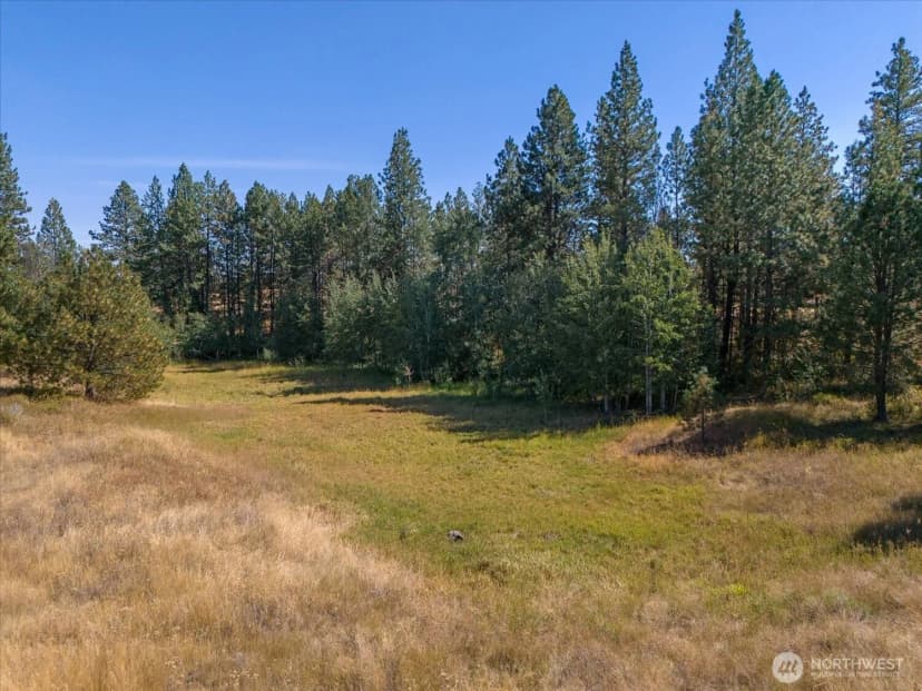 Property photo for 36321 S Bootstrap Ln, Cheney photo 6