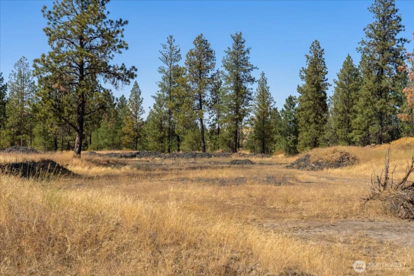 Property photo for 36321 S Bootstrap Ln, Cheney photo 7