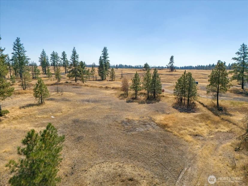 Property photo for 36321 S Bootstrap Ln, Cheney photo 8