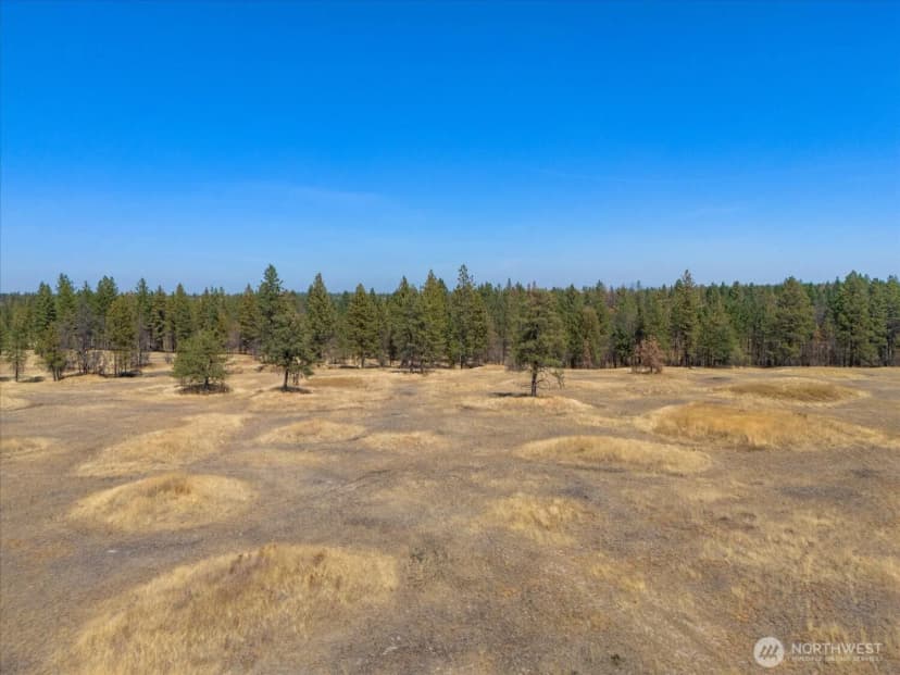 Property photo for 36377 S Bootstrap Ln, Cheney photo 6