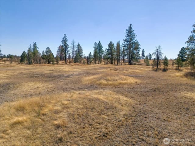Property photo for 36377 S Bootstrap Ln, Cheney photo 4