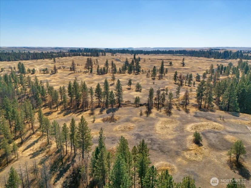 Property photo for 36377 S Bootstrap Ln, Cheney photo 10