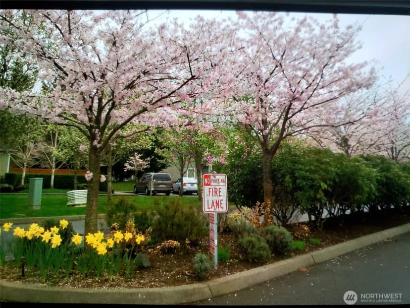 Property photo for 538 241st Lane Se, Sammamish photo 8