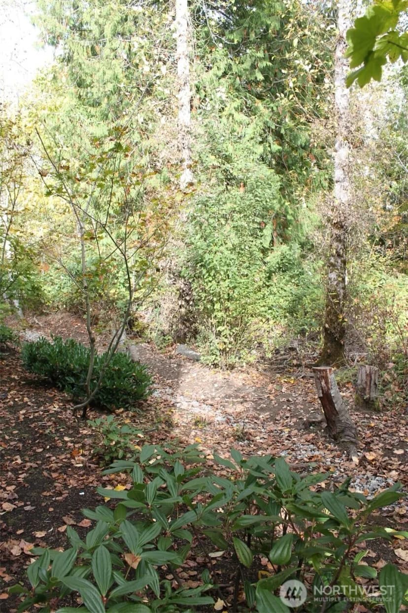 Property photo for 538 241st Lane Se, Sammamish photo 7