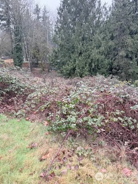 Property photo for 14708 Se 145th Place, Renton photo 3