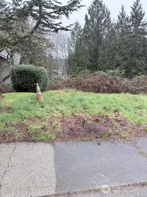 Property photo for 14708 Se 145th Place, Renton photo 6