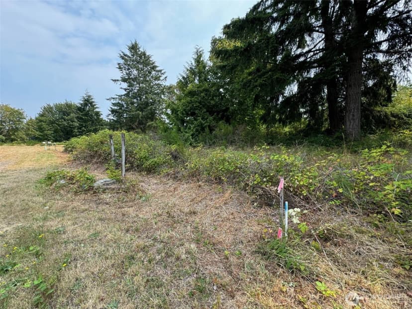 Property photo for 4101 161st Avenue Sw, Longbranch photo 10