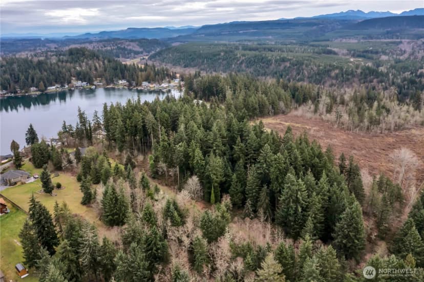 Property photo for 12120 S Clear Lake Road E, Eatonville photo 7