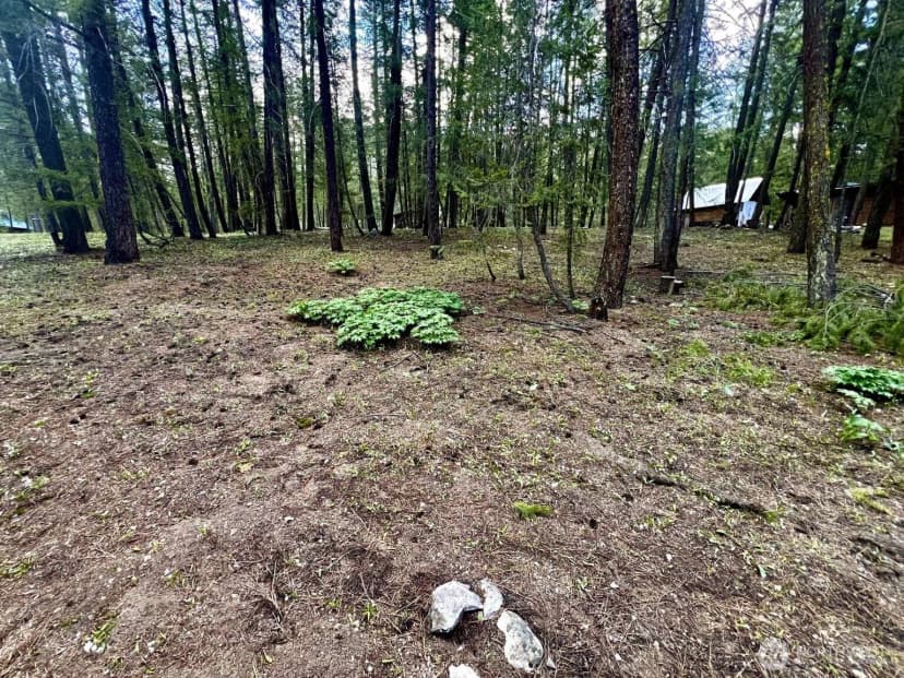 Property photo for 4 Susan Road, Okanogan photo 14