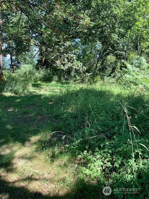 Property photo for 85 Xx 364th Avenue Se, Snoqualmie photo 6
