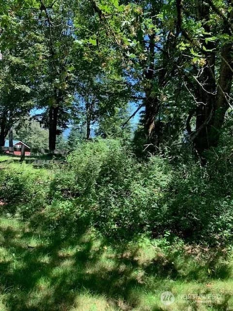 Property photo for 85 Xx 364th Avenue Se, Snoqualmie photo 10