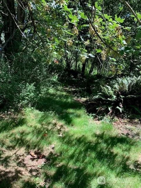 Property photo for 85 Xx 364th Avenue Se, Snoqualmie photo 8
