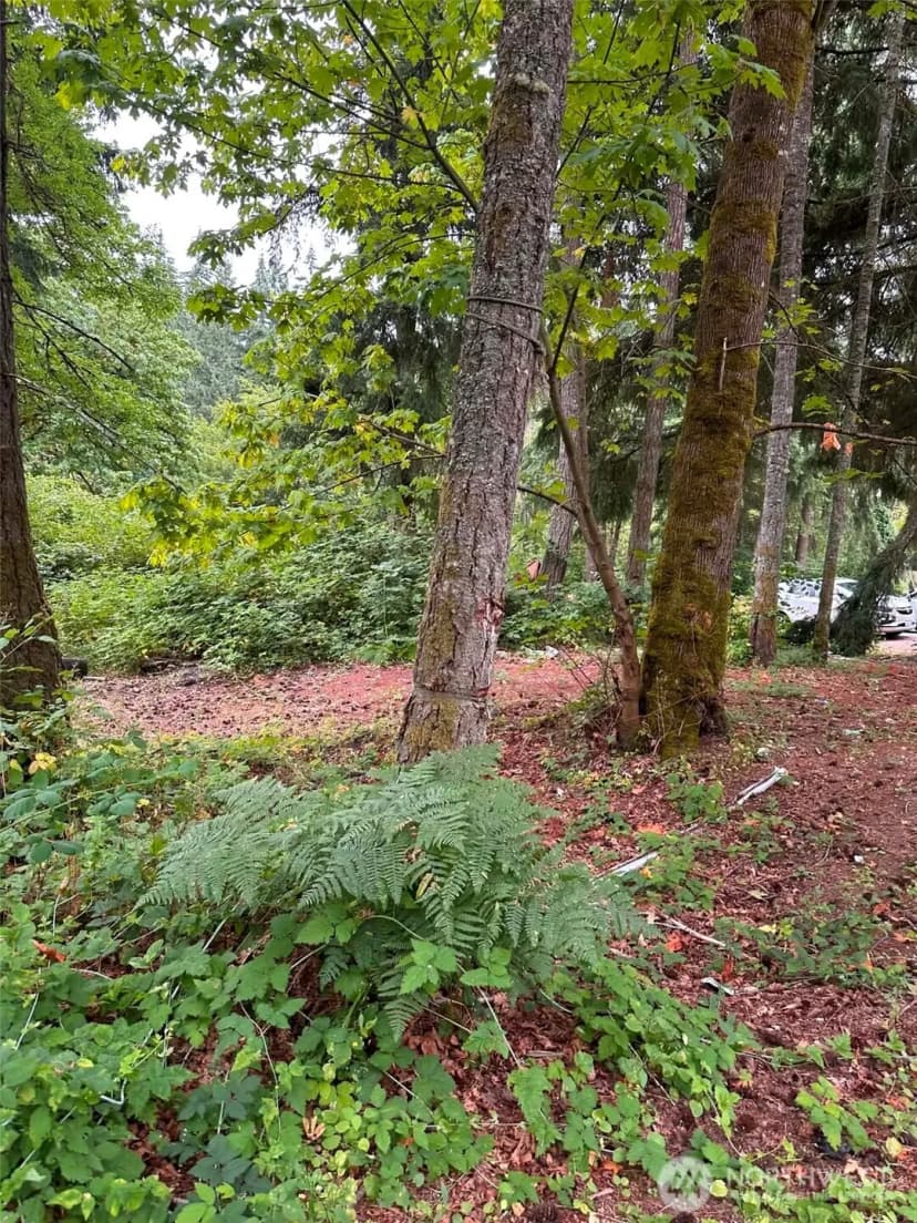 Property photo for 14140 Old Highway 99 Se, Tenino photo 25