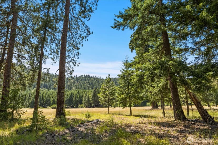 Property photo for 18 Domerie Park Loop, Cle Elum photo 21
