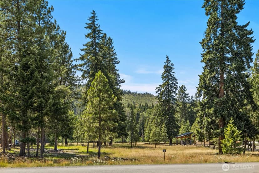 Property photo for 18 Domerie Park Loop, Cle Elum photo 20