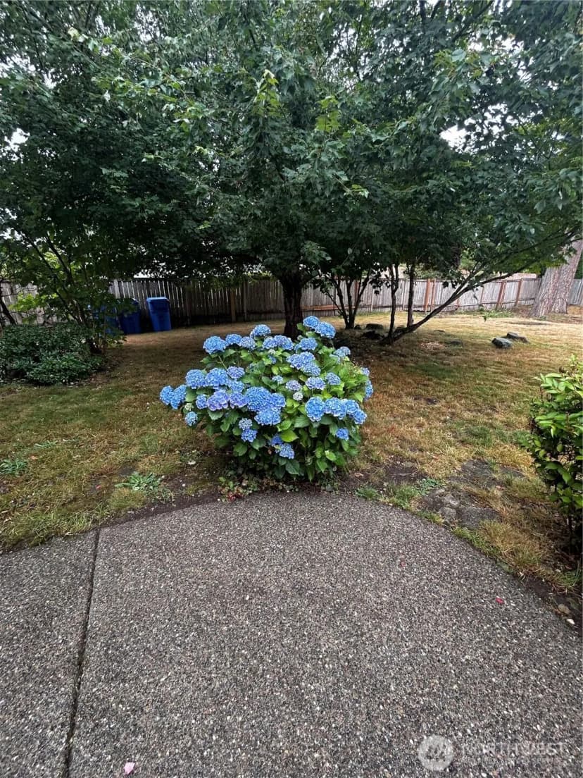 Property photo for 20317 124th Street Ct E, Bonney Lake photo 26
