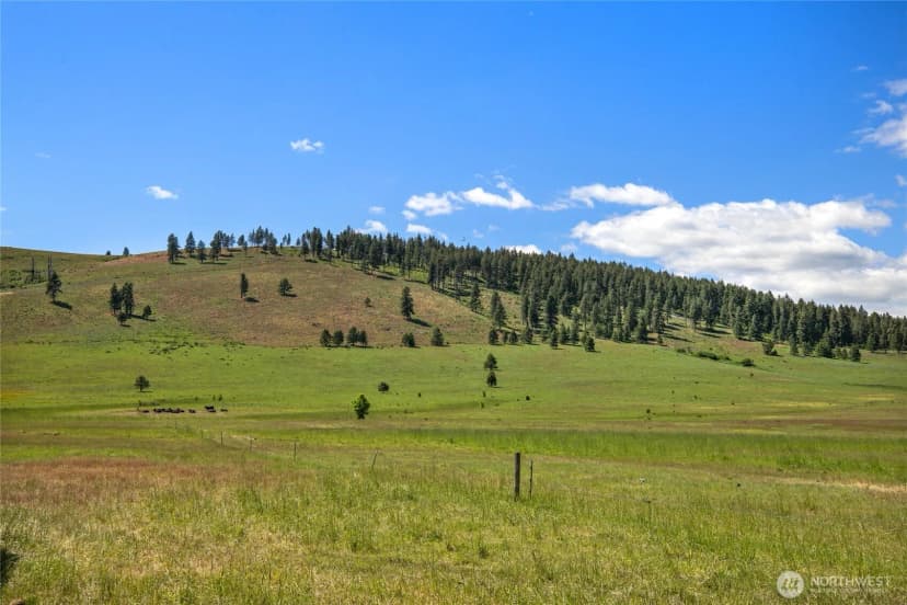Property photo for 1371 Bettas Road, Cle Elum photo 30