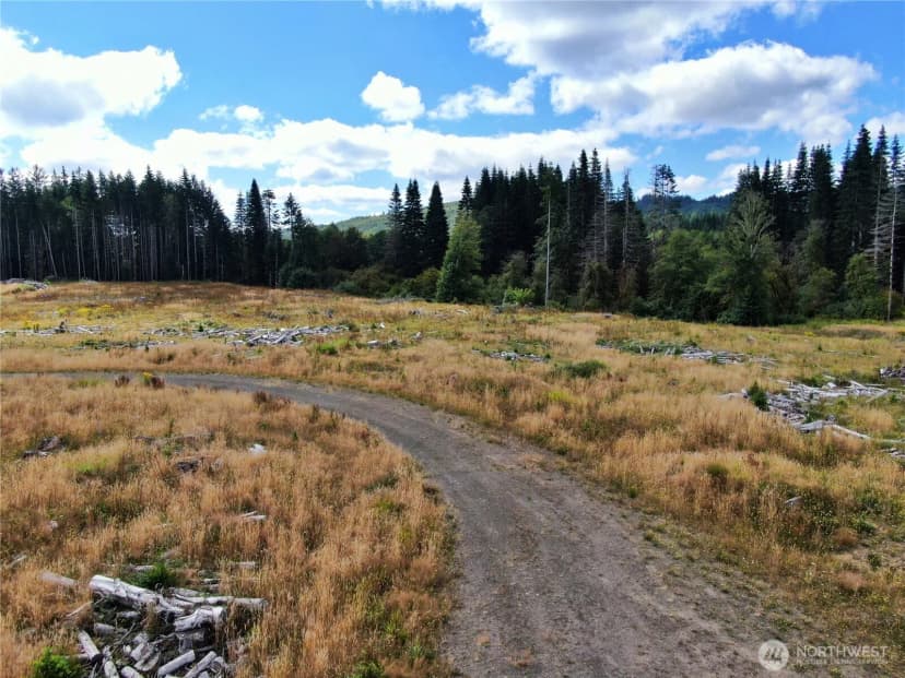 Property photo for 0 Nka North River Road, Cosmopolis photo 3