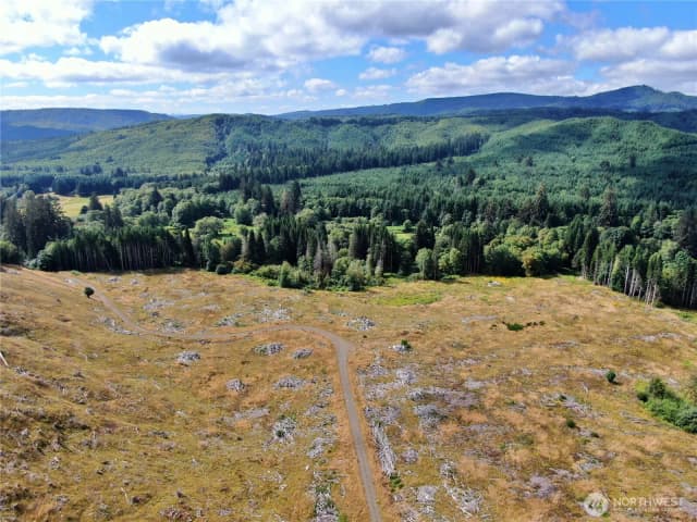 Property photo for 0 Nka North River Road, Cosmopolis