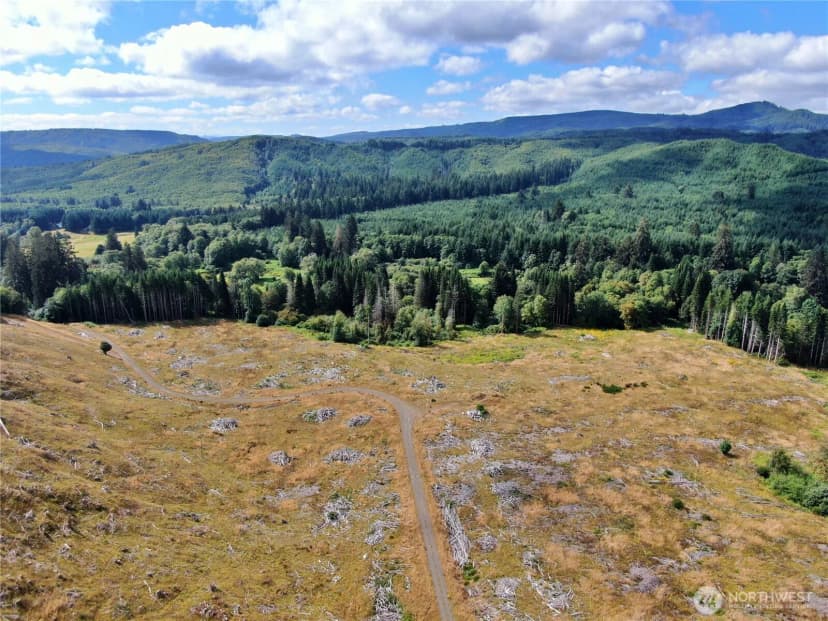 Property photo for 0 Nka North River Road, Cosmopolis