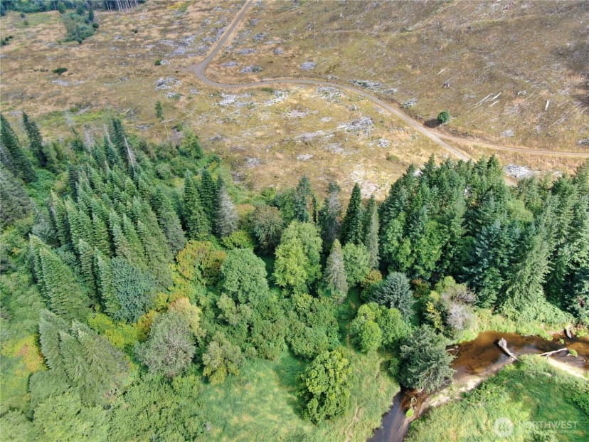 Property photo for 0 Nka North River Road, Cosmopolis photo 12