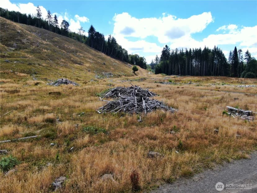 Property photo for 0 Nka North River Road, Cosmopolis photo 4