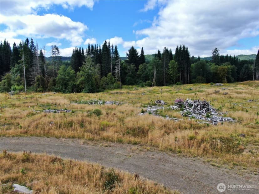 Property photo for 0 Nka North River Road, Cosmopolis photo 2
