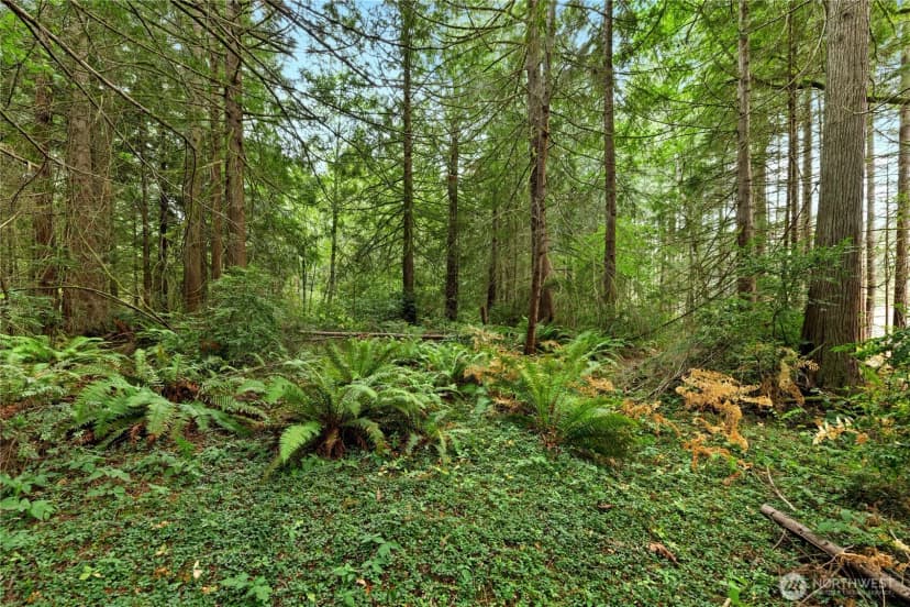 Property photo for 19301 Viking Avenue Nw, Poulsbo photo 12