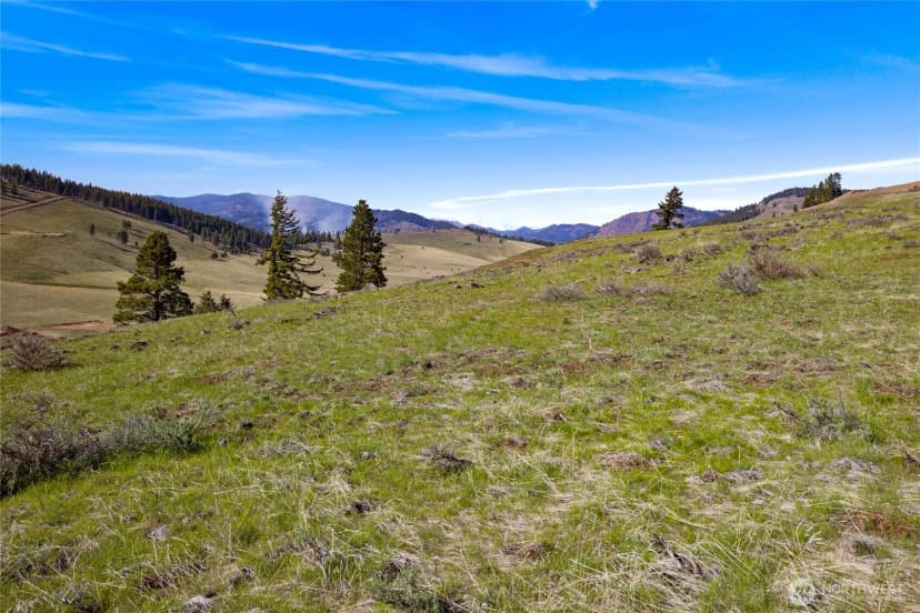Property photo for 9 Lot Bettas Road, Cle Elum photo 11