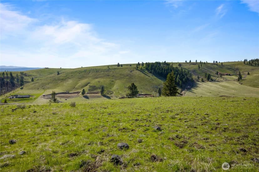 Property photo for 9 Lot Bettas Road, Cle Elum photo 6