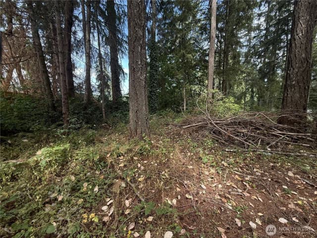 Property photo for 19421 24th Street Sw, Lakebay photo 4