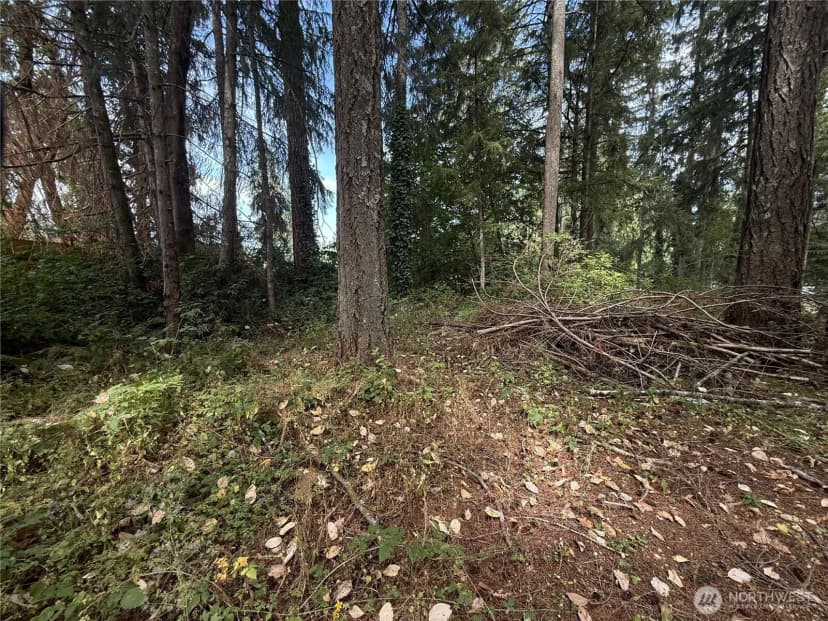 Property photo for 19421 24th Street Sw, Lakebay photo 4