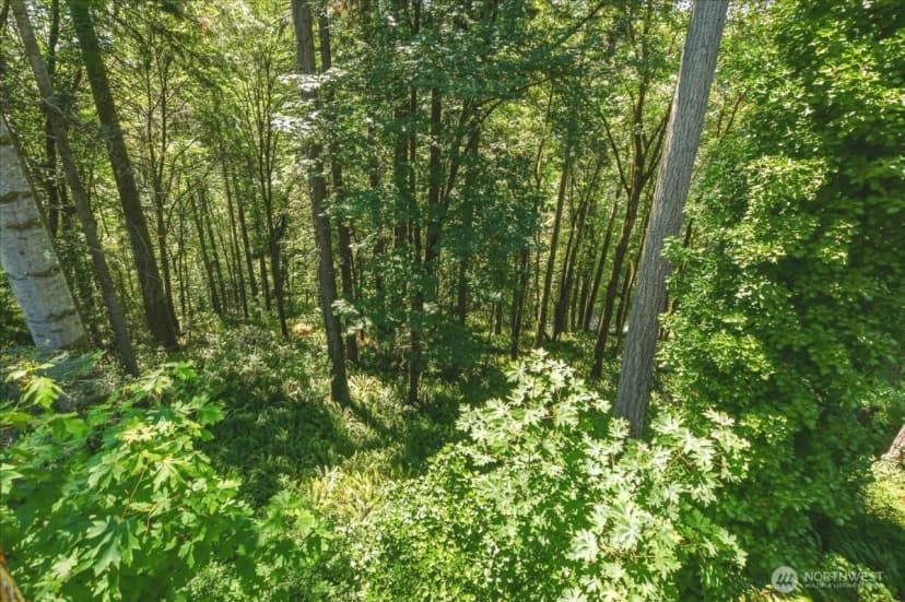 Property photo for 2425 Archwood Drive, Longview photo 36
