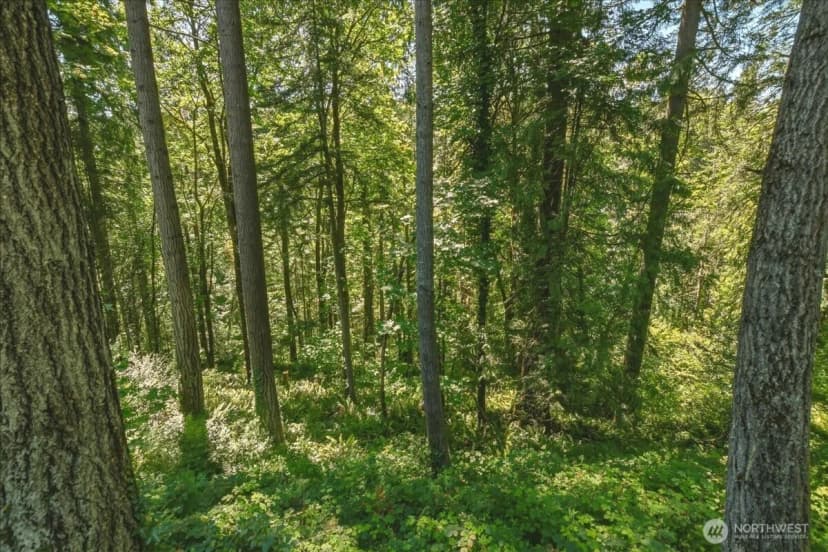 Property photo for 2425 Archwood Drive, Longview photo 39
