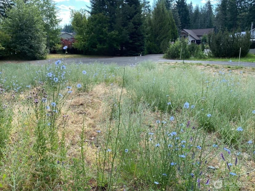 Property photo for 7 Lot Kuhuku Court, Cle Elum