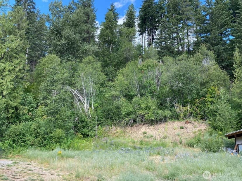Property photo for 7 Lot Kuhuku Court, Cle Elum photo 3