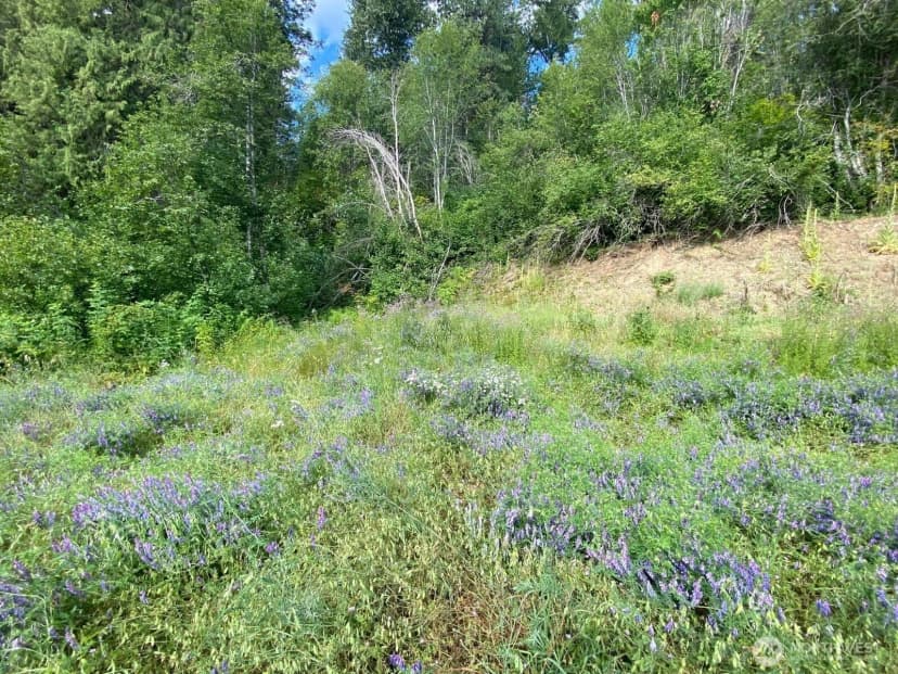 Property photo for 7 Lot Kuhuku Court, Cle Elum photo 2
