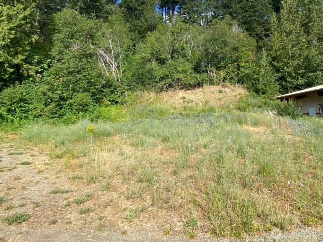 Property photo for 7 Lot Kuhuku Court, Cle Elum photo 4