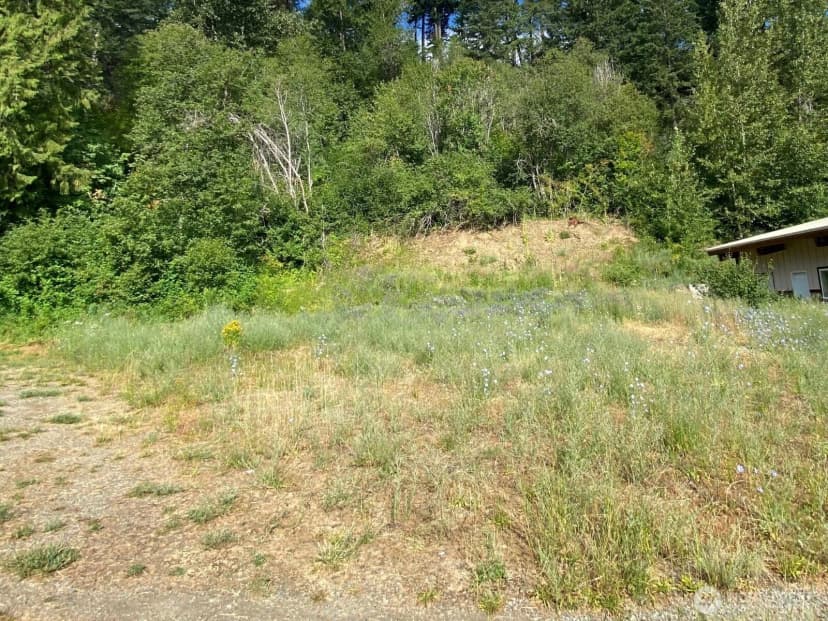 Property photo for 7 Lot Kuhuku Court, Cle Elum photo 4