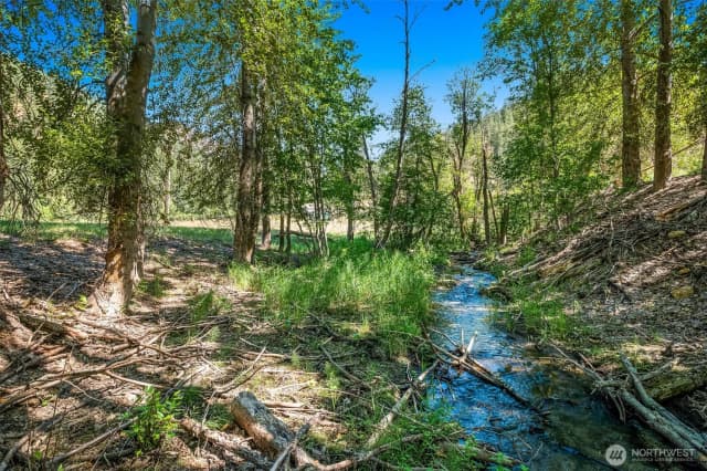 Property photo for 10547 Merry Canyon Road, Leavenworth photo 5