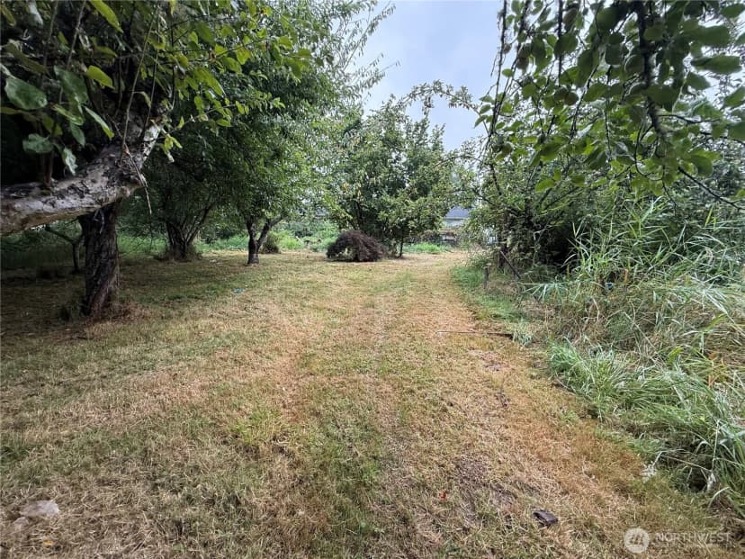 Property photo for 664 State Route 409, Cathlamet photo 38