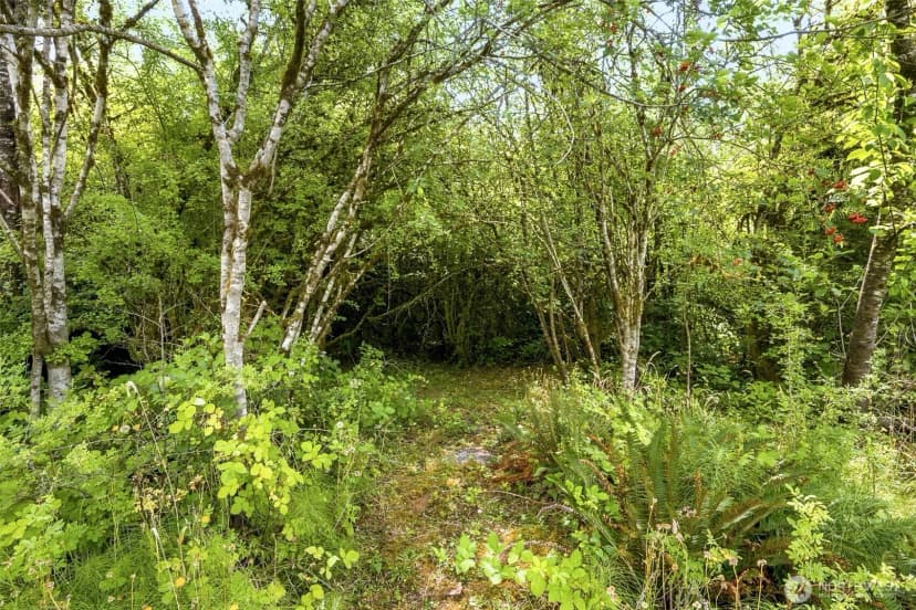 Property photo for 5544 Old Hwy 410 Sw #5542, Olympia photo 15