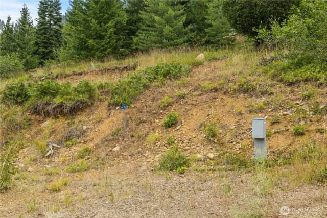 Property photo for 611 Anna Bell Drive, Ronald photo 4