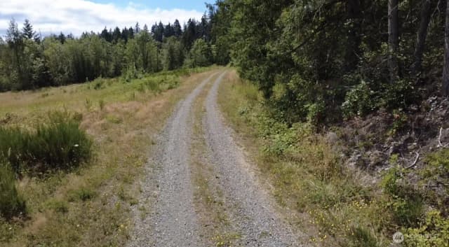 Property photo for 40317 Dean Kreger Road E, Eatonville photo 5
