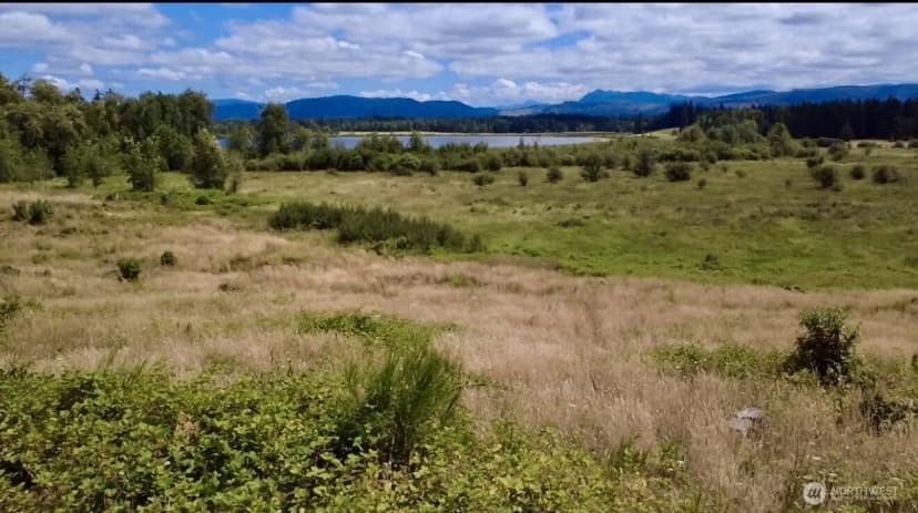 Property photo for 40317 Dean Kreger Road E, Eatonville photo 6