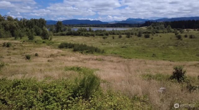 Property photo for 40317 Dean Kreger Road E, Eatonville photo 3